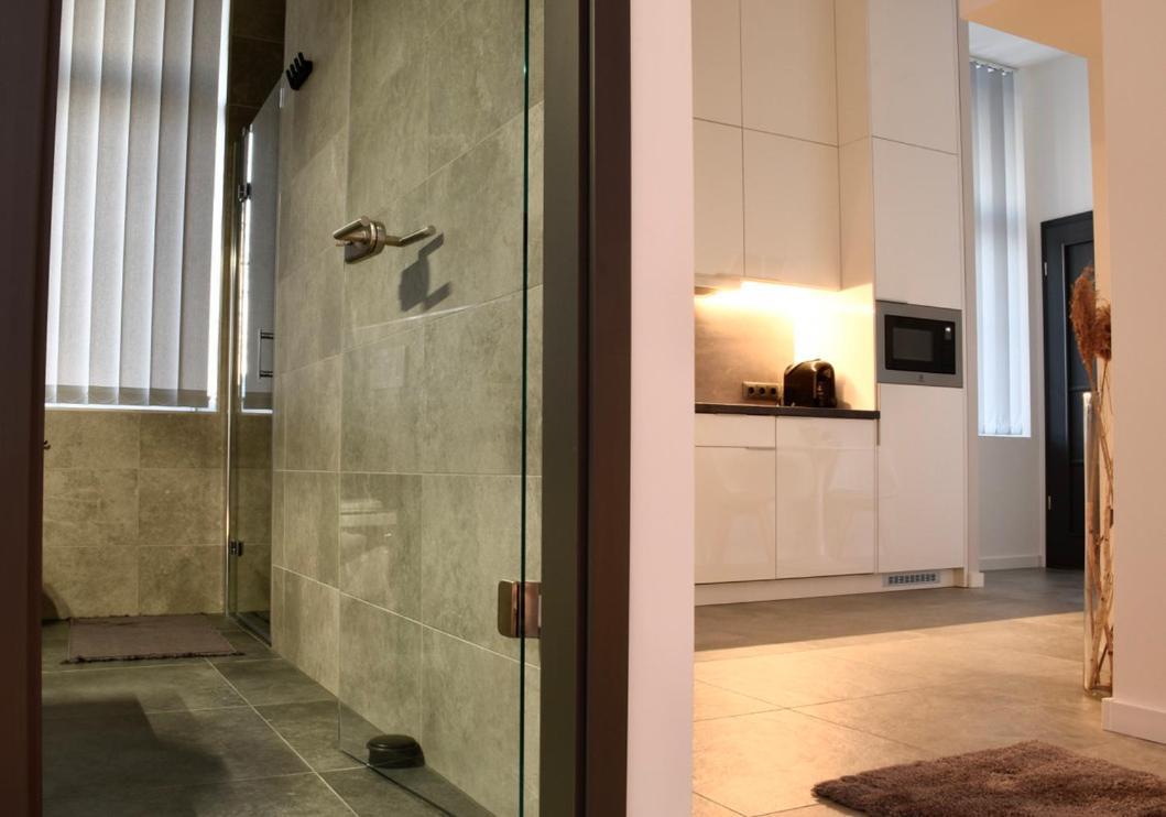 Bogathy Kuria Business Apartments Nyirbogat Luaran gambar